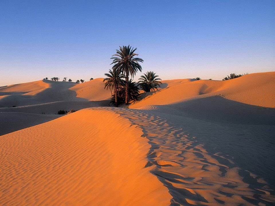 El Valle del Draa